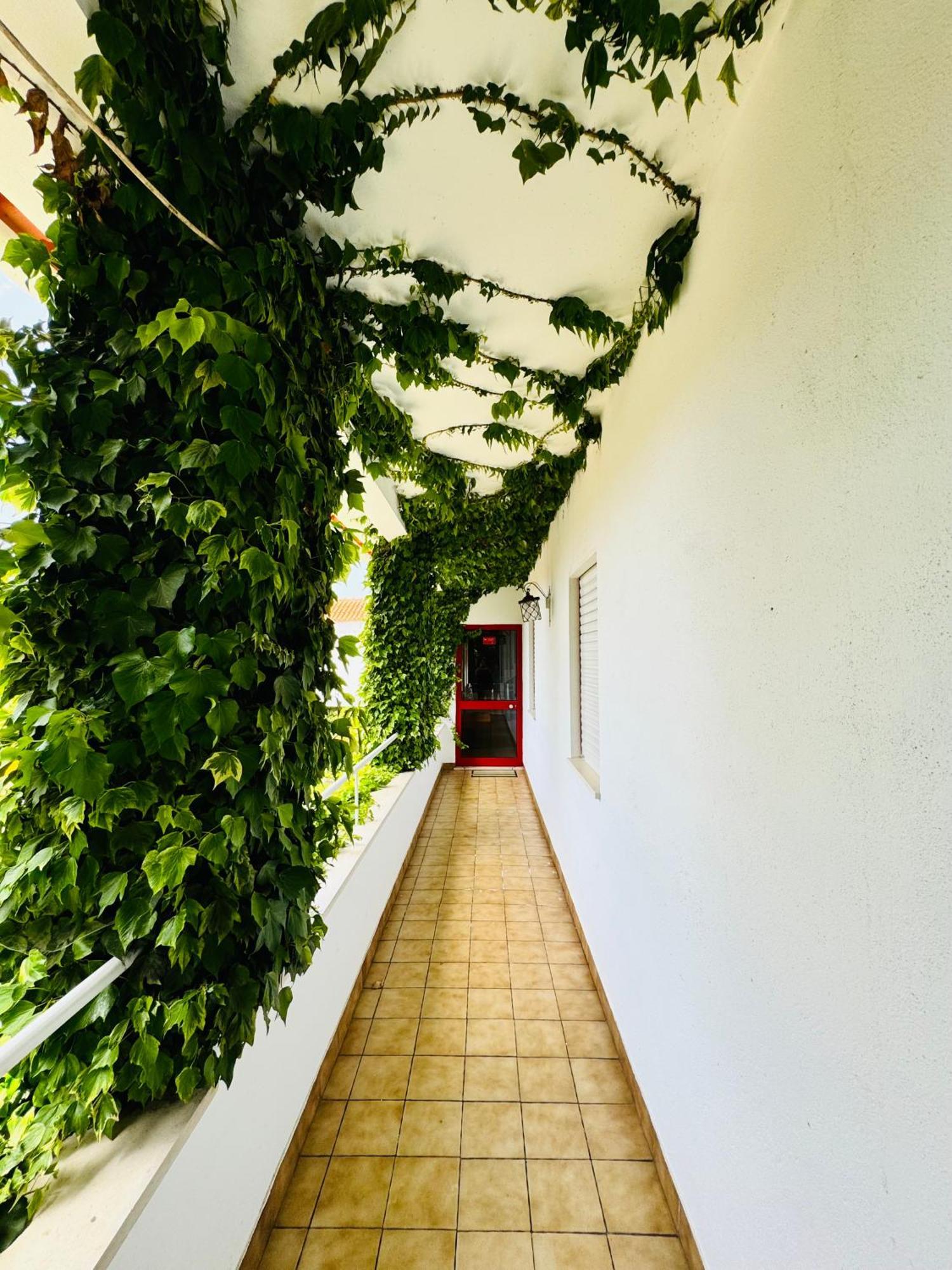 Nature & Beach Guest Rooms, Aldeamento Turistico Do Camarido Cristelo  Екстер'єр фото